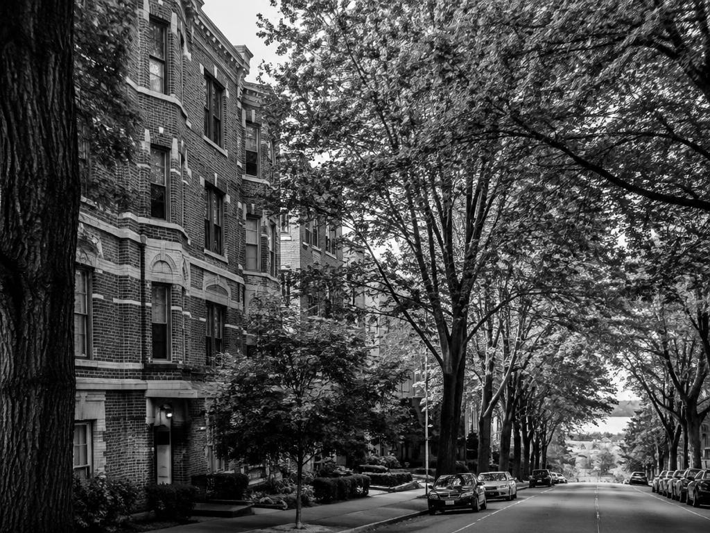 Capitol Hill